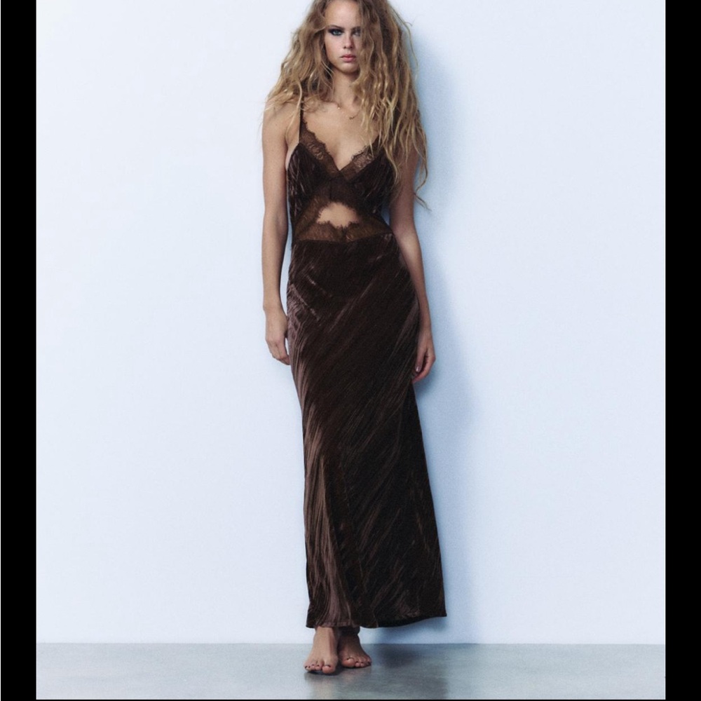 Zara velvet lace midi dress